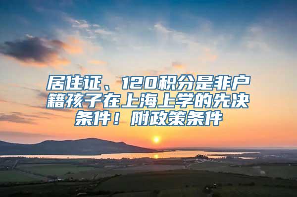 居住证、120积分是非户籍孩子在上海上学的先决条件！附政策条件