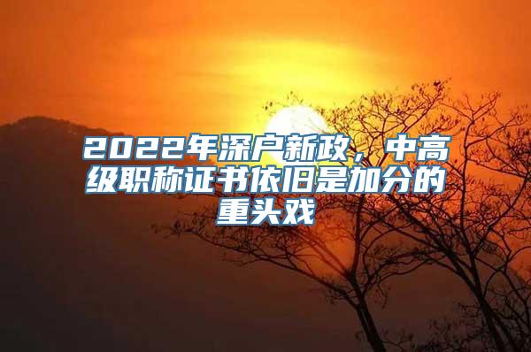 2022年深户新政，中高级职称证书依旧是加分的重头戏