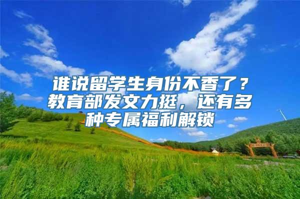 谁说留学生身份不香了？教育部发文力挺，还有多种专属福利解锁