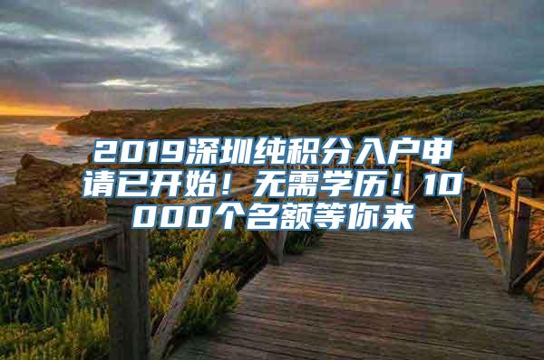 2019深圳纯积分入户申请已开始！无需学历！10000个名额等你来