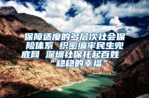 保障适度的多层次社会保险体系 织密编牢民生兜底网 深圳社保托起百姓“稳稳的幸福”