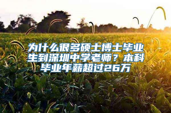 为什么很多硕士博士毕业生到深圳中学老师？本科毕业年薪超过26万