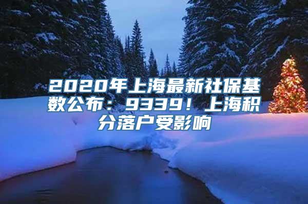 2020年上海最新社保基数公布：9339！上海积分落户受影响