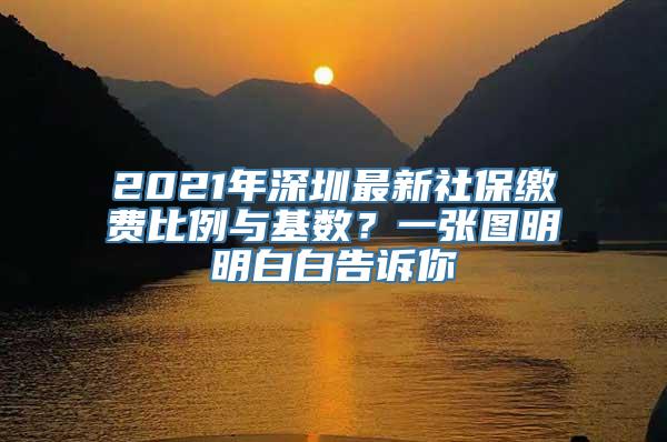 2021年深圳最新社保缴费比例与基数？一张图明明白白告诉你