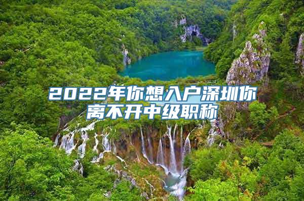 2022年你想入户深圳你离不开中级职称