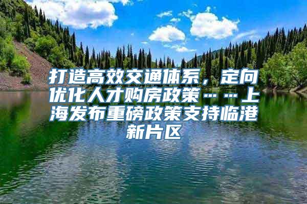 打造高效交通体系，定向优化人才购房政策……上海发布重磅政策支持临港新片区