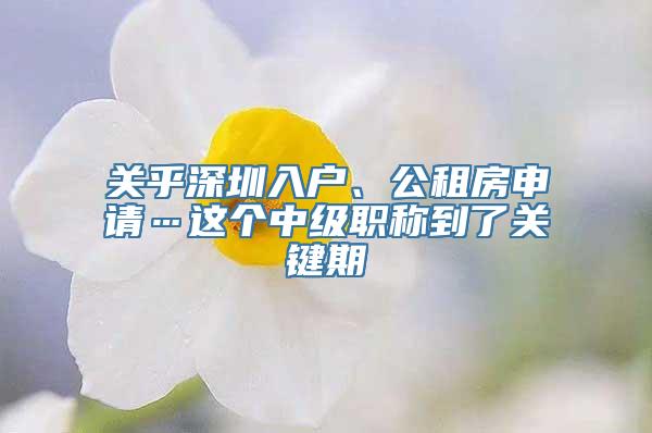 关乎深圳入户、公租房申请…这个中级职称到了关键期