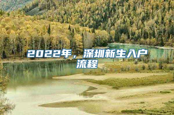 2022年，深圳新生入户流程