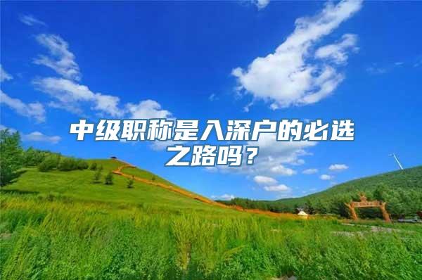 中级职称是入深户的必选之路吗？