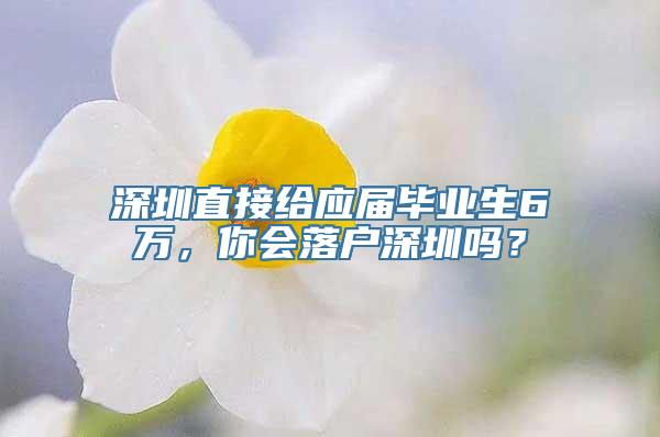 深圳直接给应届毕业生6万，你会落户深圳吗？