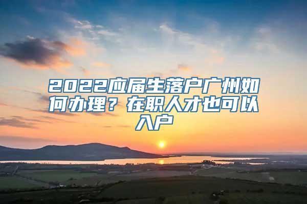 2022应届生落户广州如何办理？在职人才也可以入户