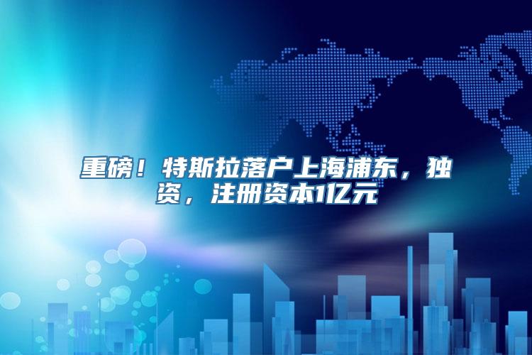 重磅！特斯拉落户上海浦东，独资，注册资本1亿元