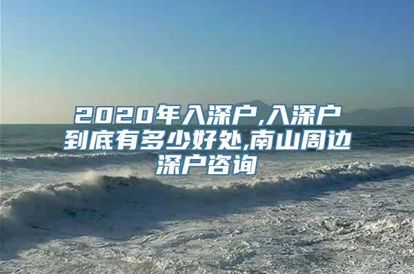 2020年入深户,入深户到底有多少好处,南山周边深户咨询