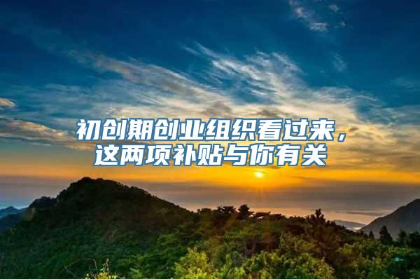 初创期创业组织看过来，这两项补贴与你有关