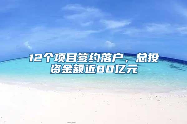 12个项目签约落户，总投资金额近80亿元