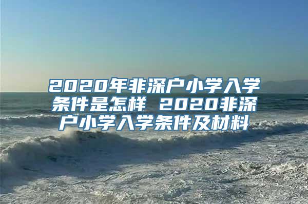 2020年非深户小学入学条件是怎样 2020非深户小学入学条件及材料