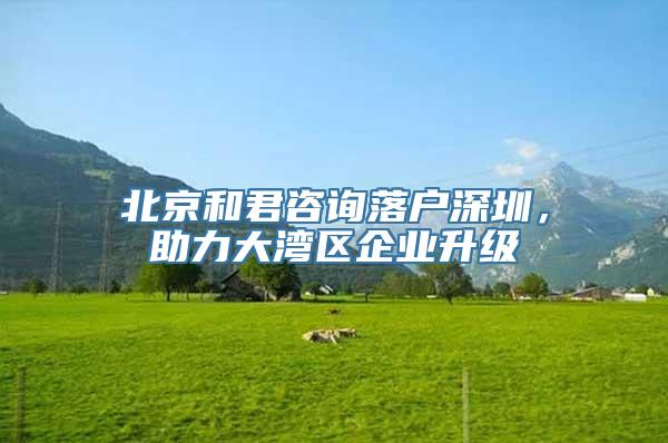 北京和君咨询落户深圳，助力大湾区企业升级