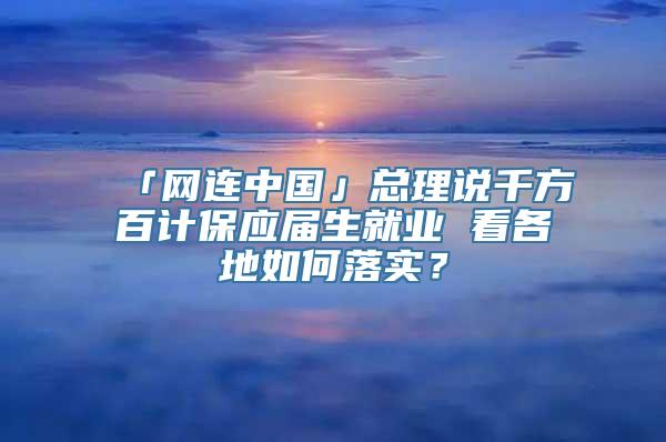 「网连中国」总理说千方百计保应届生就业 看各地如何落实？