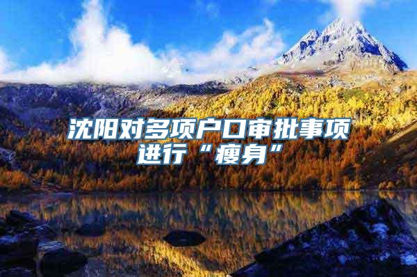 沈阳对多项户口审批事项进行“瘦身”