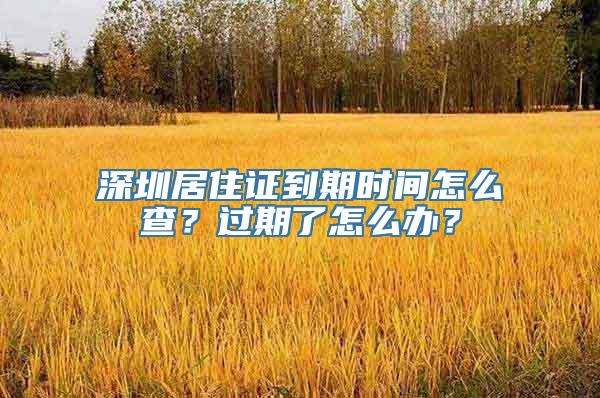 深圳居住证到期时间怎么查？过期了怎么办？