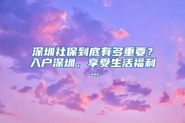 深圳社保到底有多重要？入户深圳，享受生活福利…