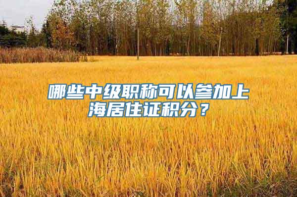 哪些中级职称可以参加上海居住证积分？