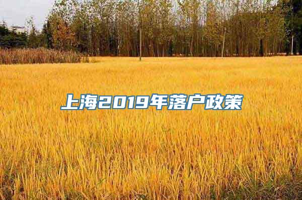 上海2019年落户政策