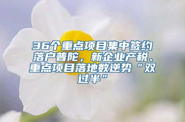 36个重点项目集中签约落户普陀，新企业产税、重点项目落地数逆势“双过半”