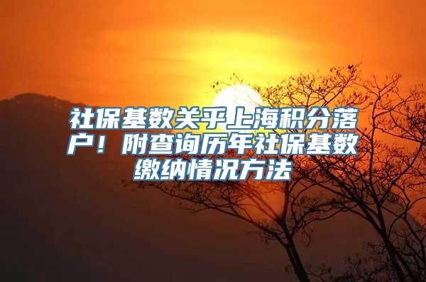 社保基数关乎上海积分落户！附查询历年社保基数缴纳情况方法