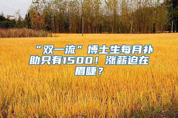 “双一流”博士生每月补助只有1500！涨薪迫在眉睫？