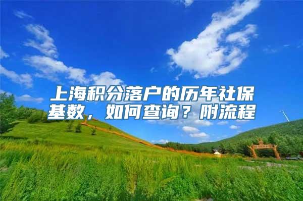 上海积分落户的历年社保基数，如何查询？附流程