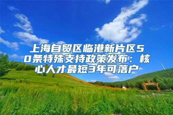 上海自贸区临港新片区50条特殊支持政策发布：核心人才最短3年可落户