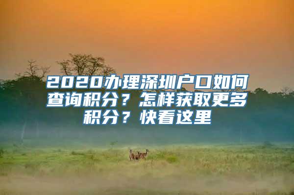 2020办理深圳户口如何查询积分？怎样获取更多积分？快看这里