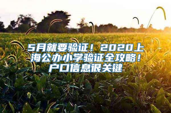 5月就要验证！2020上海公办小学验证全攻略！户口信息很关键