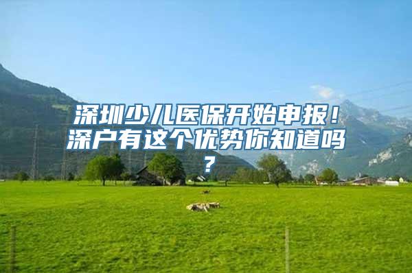 深圳少儿医保开始申报！深户有这个优势你知道吗？