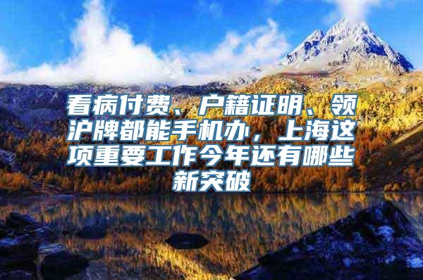 看病付费、户籍证明、领沪牌都能手机办，上海这项重要工作今年还有哪些新突破