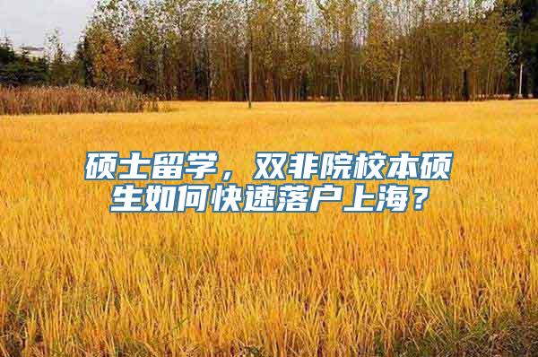 硕士留学，双非院校本硕生如何快速落户上海？