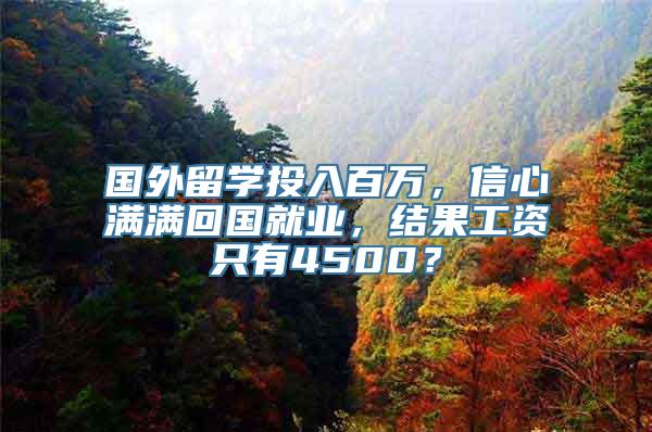 国外留学投入百万，信心满满回国就业，结果工资只有4500？