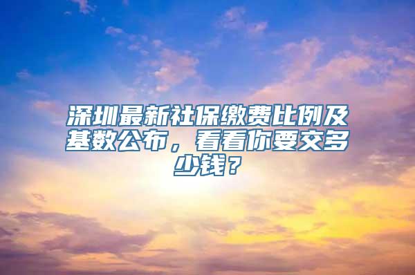 深圳最新社保缴费比例及基数公布，看看你要交多少钱？