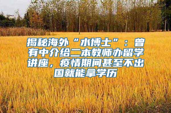 揭秘海外“水博士”：曾有中介给二本教师办留学讲座，疫情期间甚至不出国就能拿学历