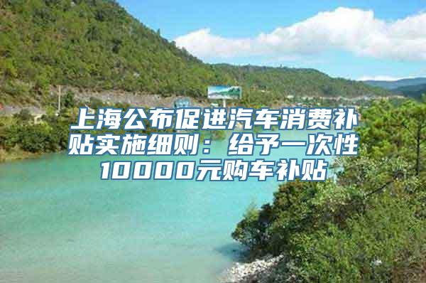 上海公布促进汽车消费补贴实施细则：给予一次性10000元购车补贴