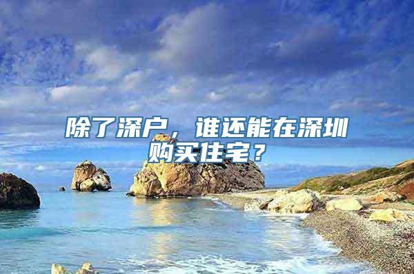 除了深户，谁还能在深圳购买住宅？