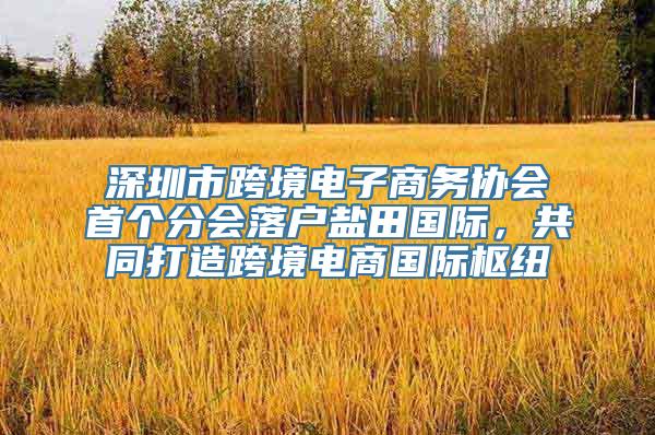 深圳市跨境电子商务协会首个分会落户盐田国际，共同打造跨境电商国际枢纽