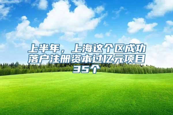 上半年，上海这个区成功落户注册资本过亿元项目35个