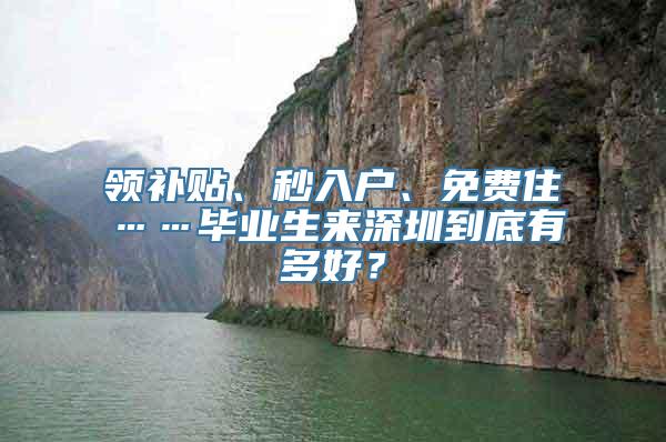 领补贴、秒入户、免费住……毕业生来深圳到底有多好？