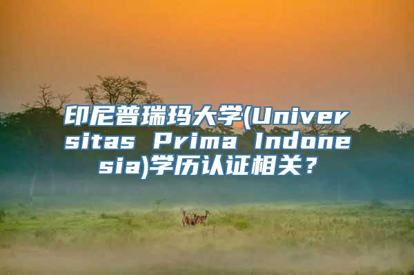 印尼普瑞玛大学(Universitas Prima Indonesia)学历认证相关？