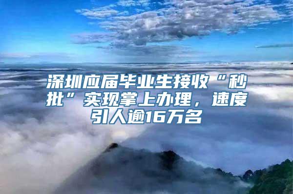 深圳应届毕业生接收“秒批”实现掌上办理，速度引人逾16万名