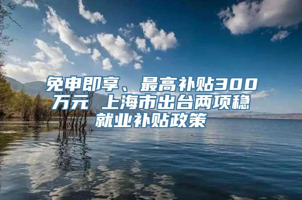 免申即享、最高补贴300万元 上海市出台两项稳就业补贴政策