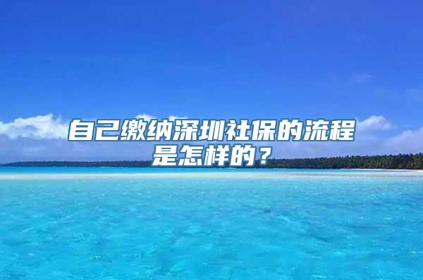 自己缴纳深圳社保的流程是怎样的？