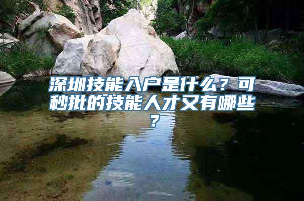 深圳技能入户是什么？可秒批的技能人才又有哪些？